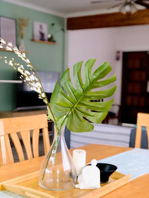 Danville Forest Guest House&Apartments Durban Eksteriør billede