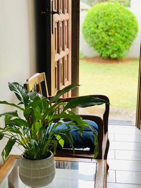 Danville Forest Guest House&Apartments Durban Eksteriør billede